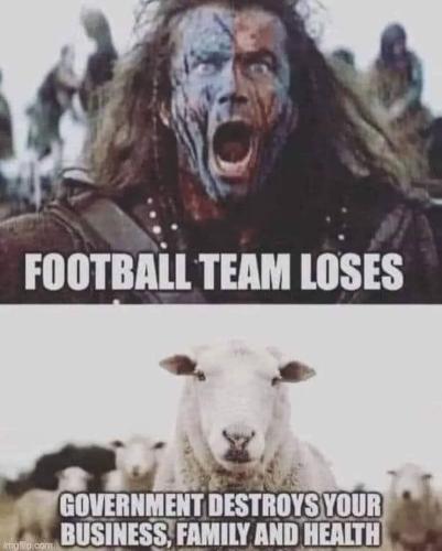 FB_IMG_1698790303377