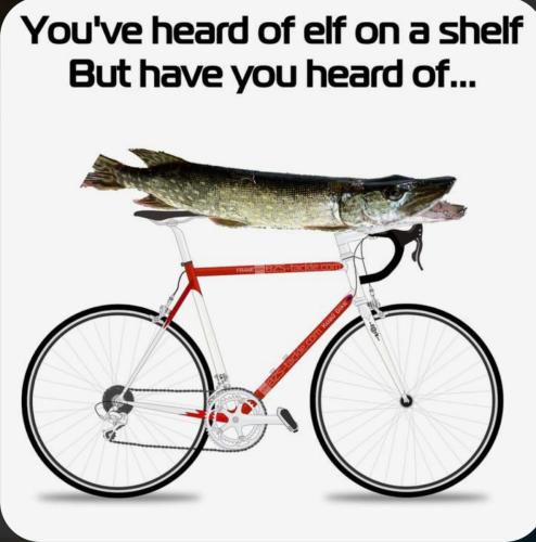pike on a bike