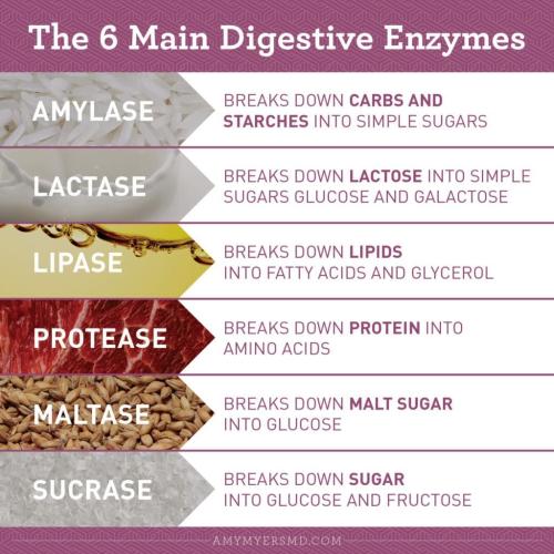 Full Spectrum Digestive Enzymes