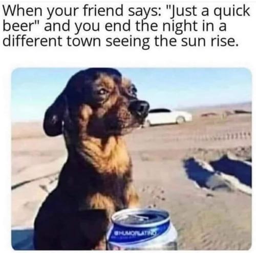 FB_IMG_1698706076649