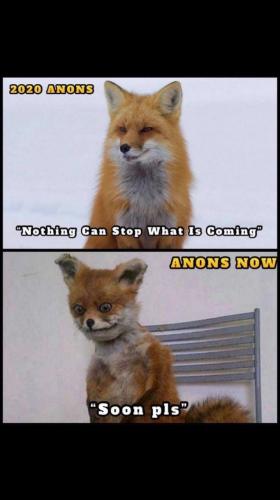 photo_2023-11-21_14-36-17