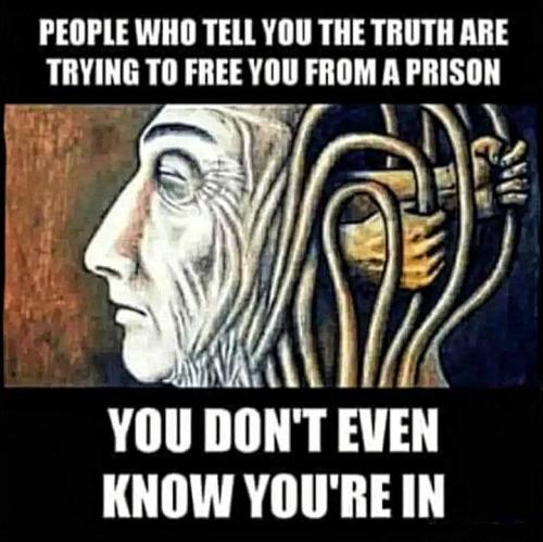 FB_IMG_1698931795576