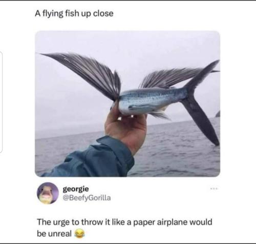 20231122_180221