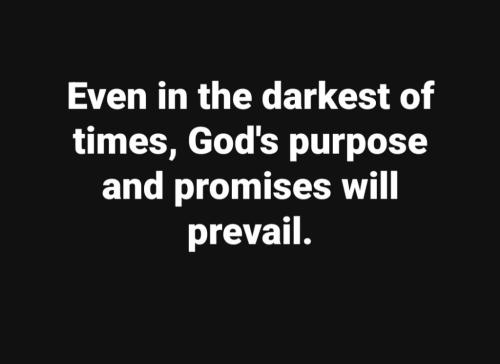 7142310c-1430-4c5d-b23b-825d52b8d2ca