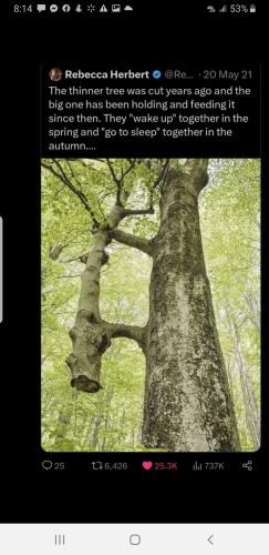 Screenshot_20231107-201459_Facebook