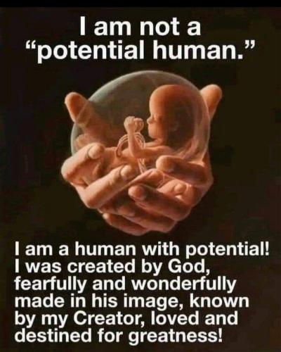 potential human m