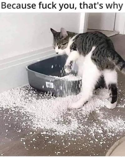 FB_IMG_1699430392989