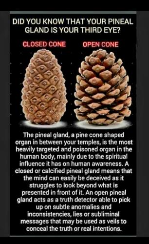 Screenshot_20231027_193839_Gallery