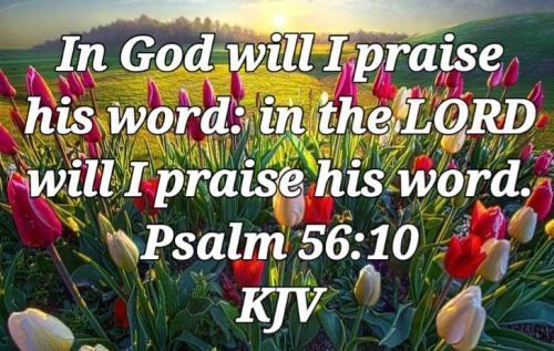 01:22:54 GMT-0800 (PST)