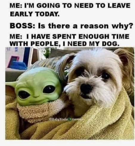 FB_IMG_1699655394512