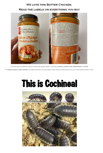 this is cochneal