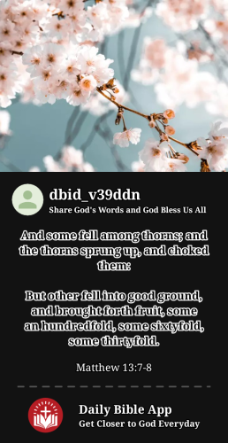 2023-11-221700687057624