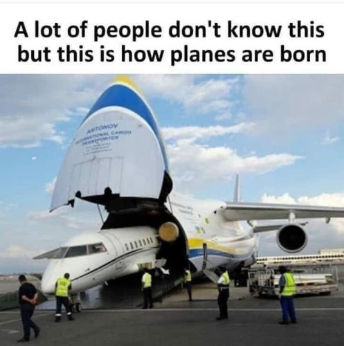 7C30AA35-1E8F-46DA-AFA4-0E7B2115241C