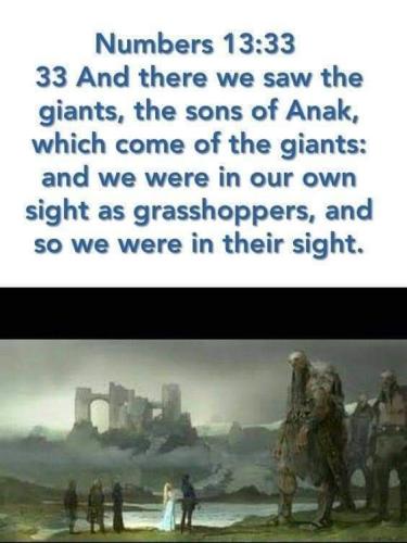 FB_IMG_1699129500101