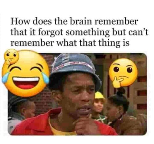 FB_IMG_1699020630536