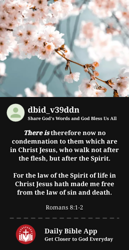 2023-11-171700203558705