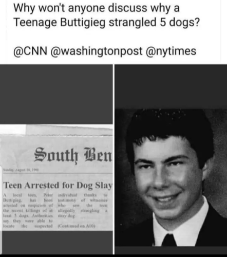 Screenshot_20231114-193959~2