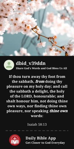 2023-11-291701320565689