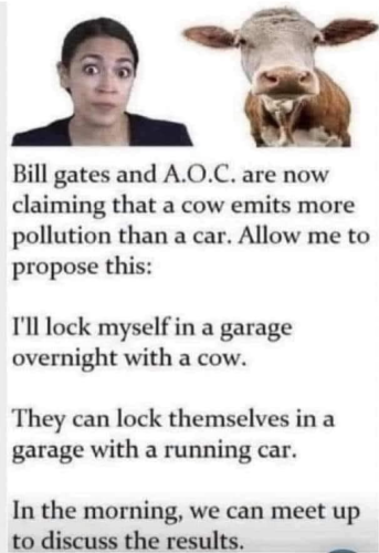 Screenshot 2023-11-01 155536