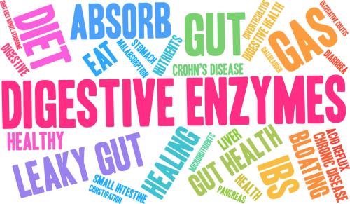 Digestive Enzymes benefits