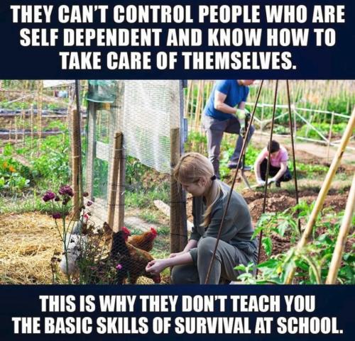 0fb7879c-06c4-480a-a118-76577244653d