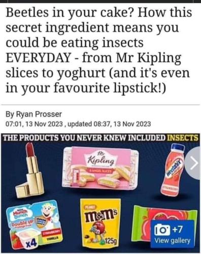 beetles in your cake