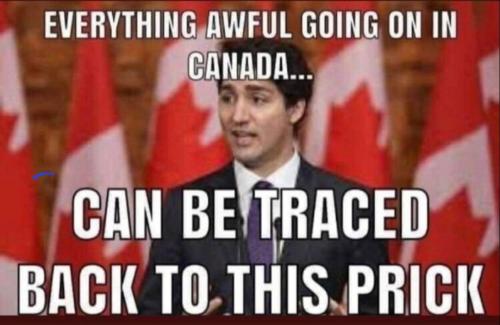 Screenshot_20231105_170921_X