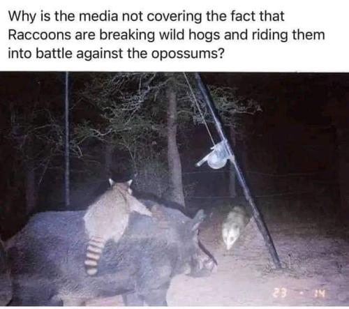 FB_IMG_1699613486290