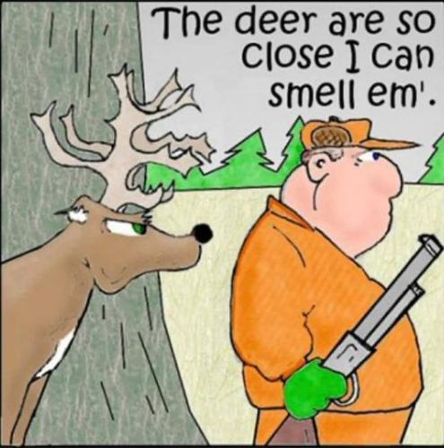 400987936_728464705984590_3375155429652891390_n