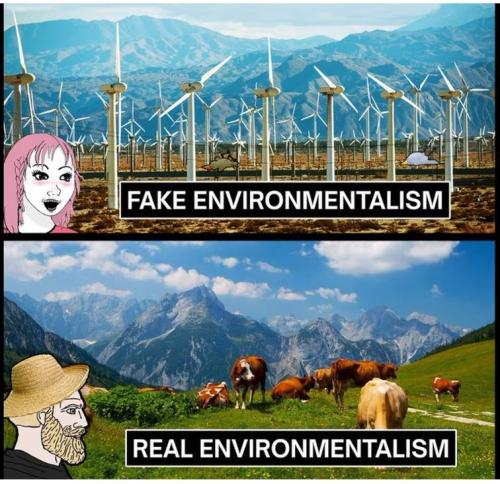 environment