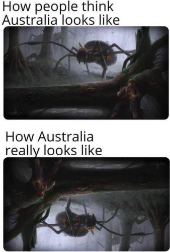 FB_IMG_1698984543887