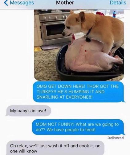 FB_IMG_1699632716917