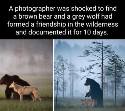 FB_IMG_1699662399326