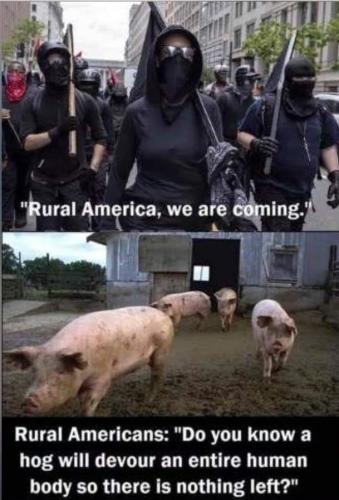 b89e64ab-d09c-4fa5-937a-30c6ef0e320e