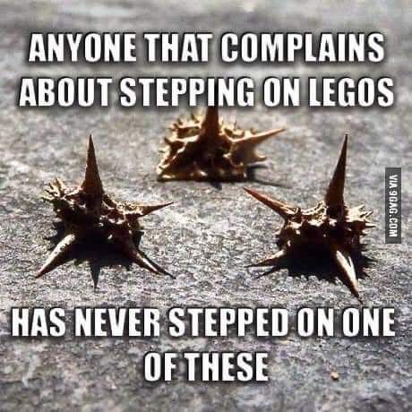 FB_IMG_1698705865655