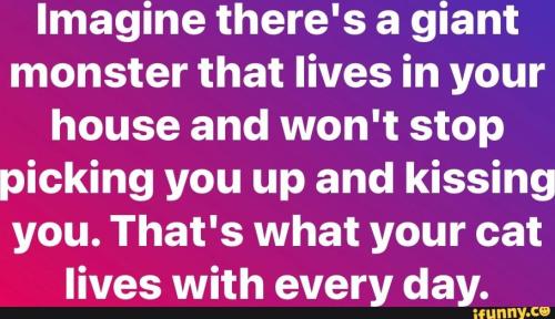 36f0e312-0af6-42a5-9132-255e46d6a860