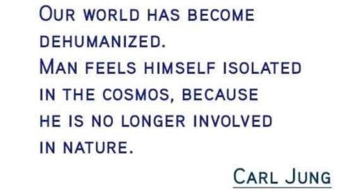 FB_IMG_1700930807135