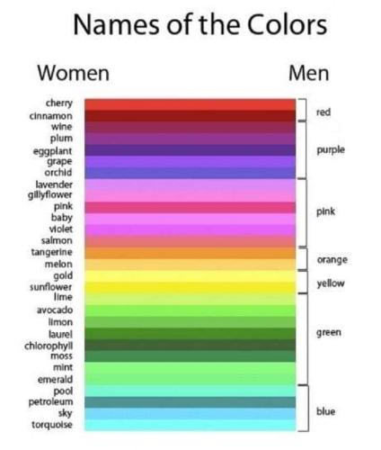 FB_IMG_1699757645795
