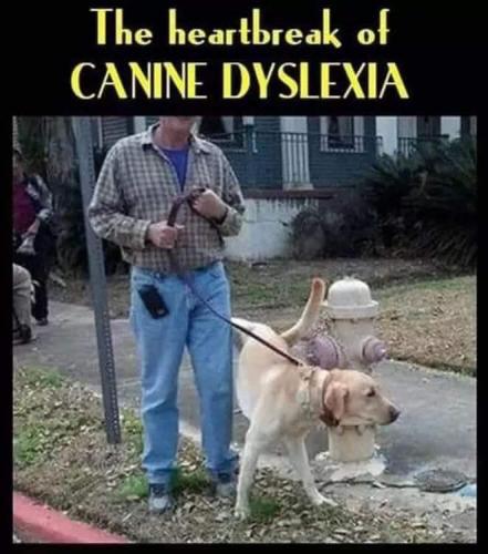 FB_IMG_1701265132555