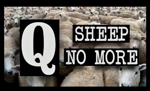 Screenshot_20231029_221354_Gallery