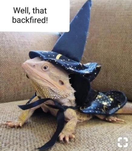 Screenshot_20231101_043450_Instagram