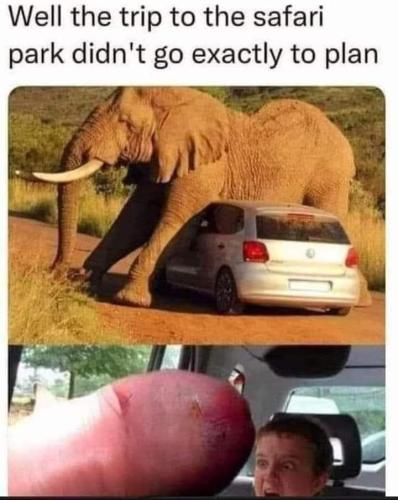 FB_IMG_1699388018171