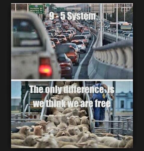 Screenshot_20231105_103219_YouTube