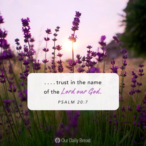 05:20:50 GMT-0800