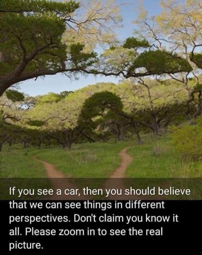 FB_IMG_1699551001340