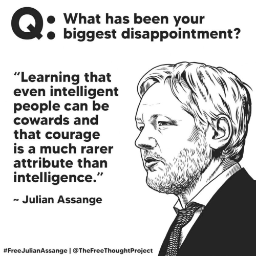 Assange on courage