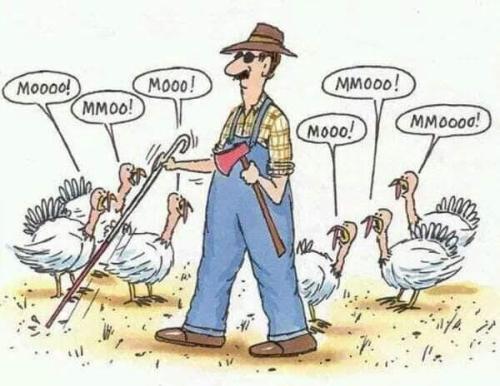 a6ea4f19-d0b6-426e-81d3-70434a61a85d