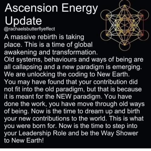 .             394784533_23939208395