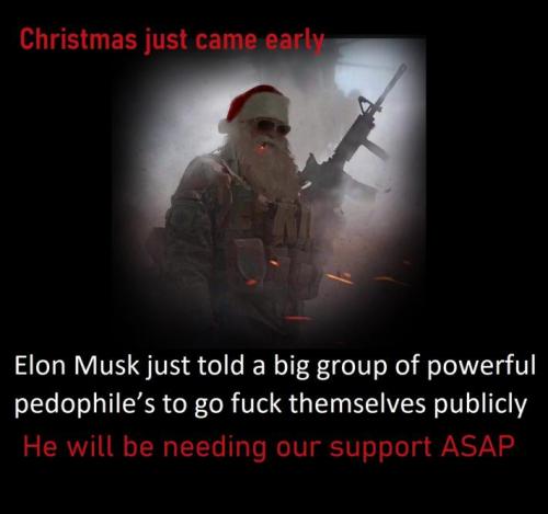 Musk 1