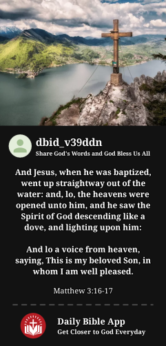 2023-11-221700687319341